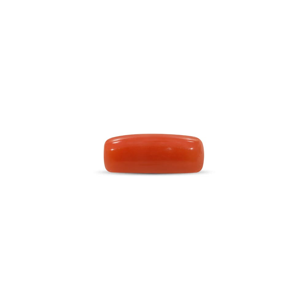 Red Coral - 10.51 Carat