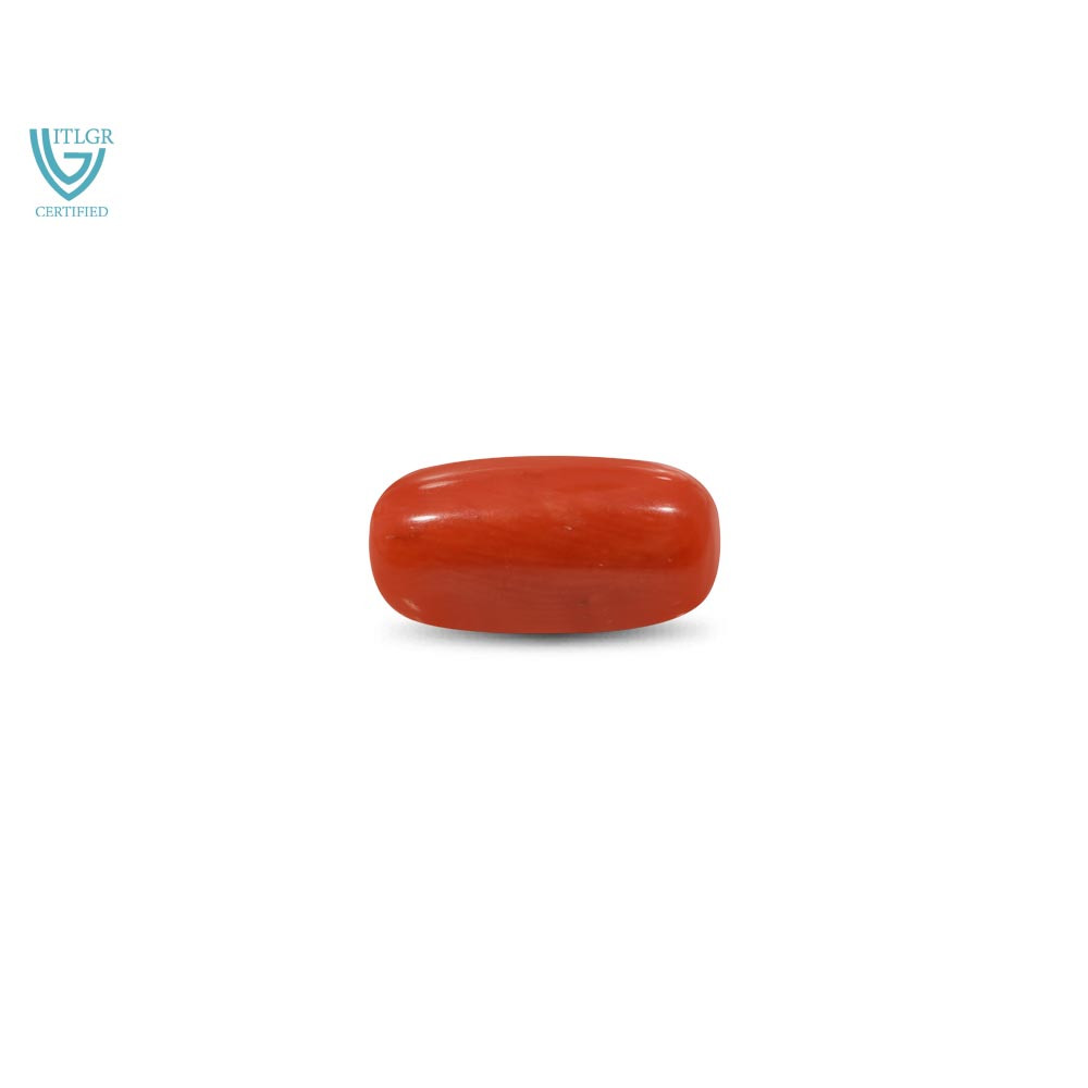 Red Coral - 10.58 Carat