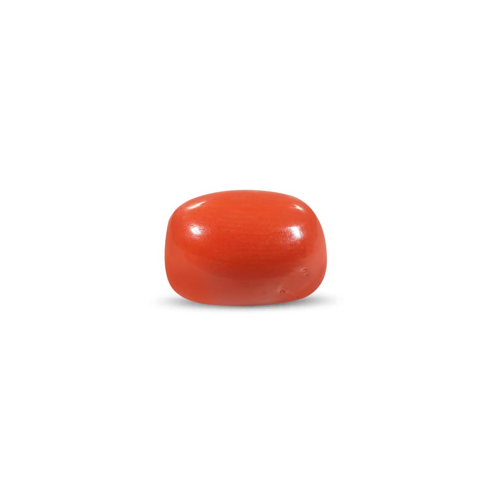 Red Coral - 10.69 Carat