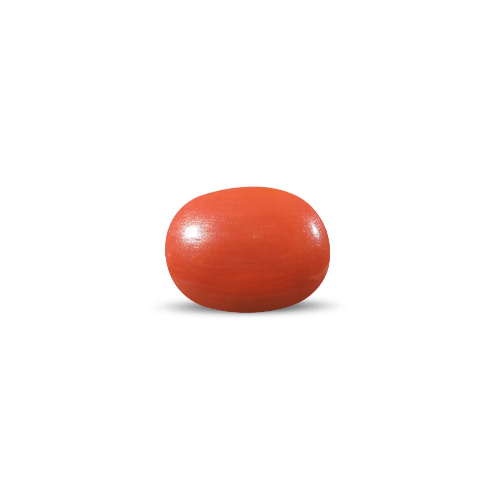 Red Coral - 10.69 Carat