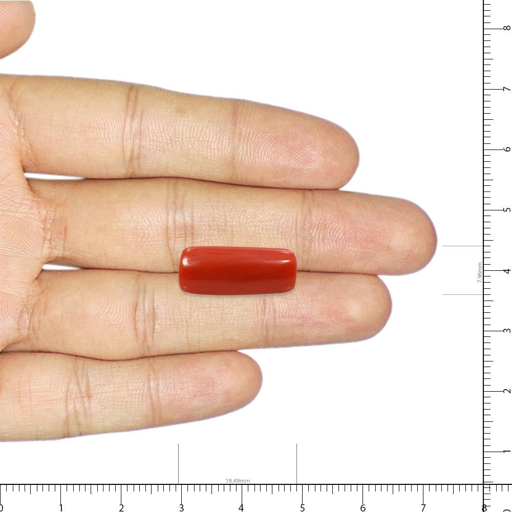 Red Coral - 10.72 Carat