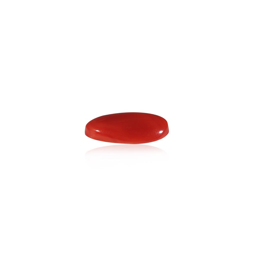 Red Coral - 10.72 Carat