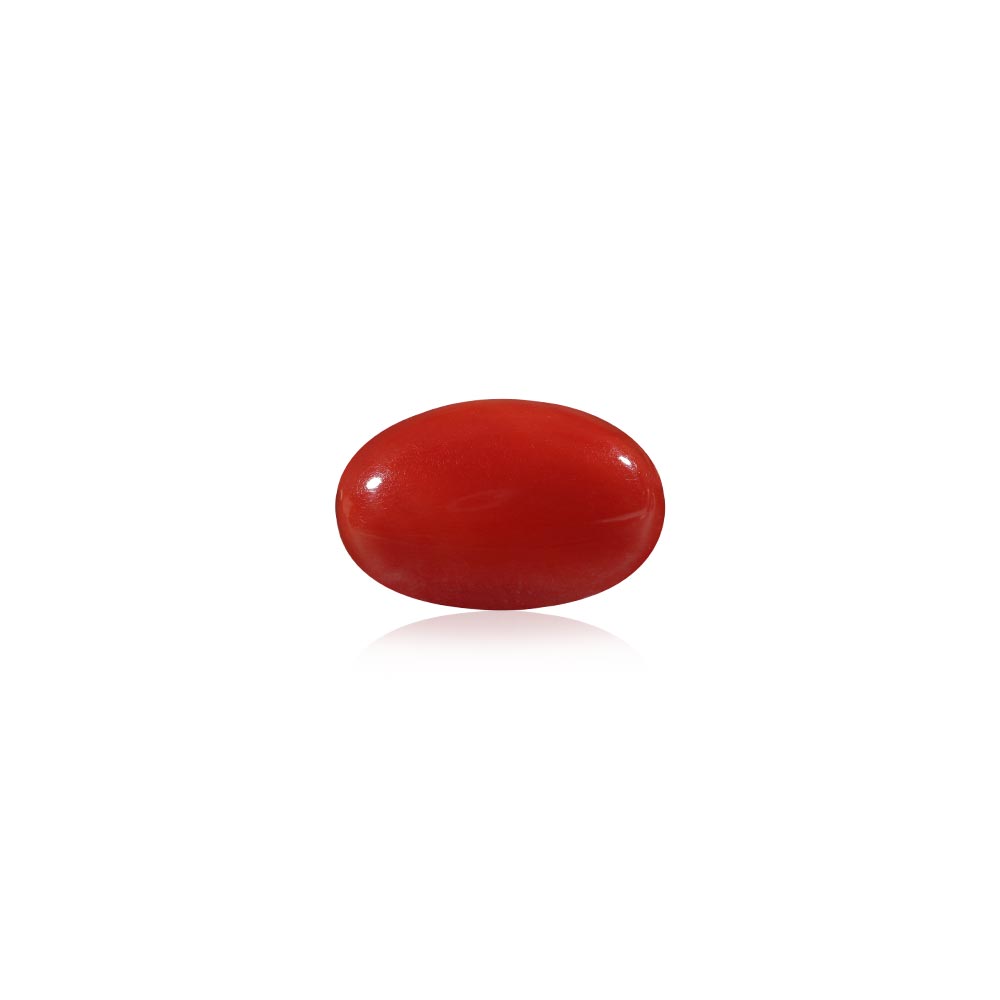 Red Coral - 10.72 Carat