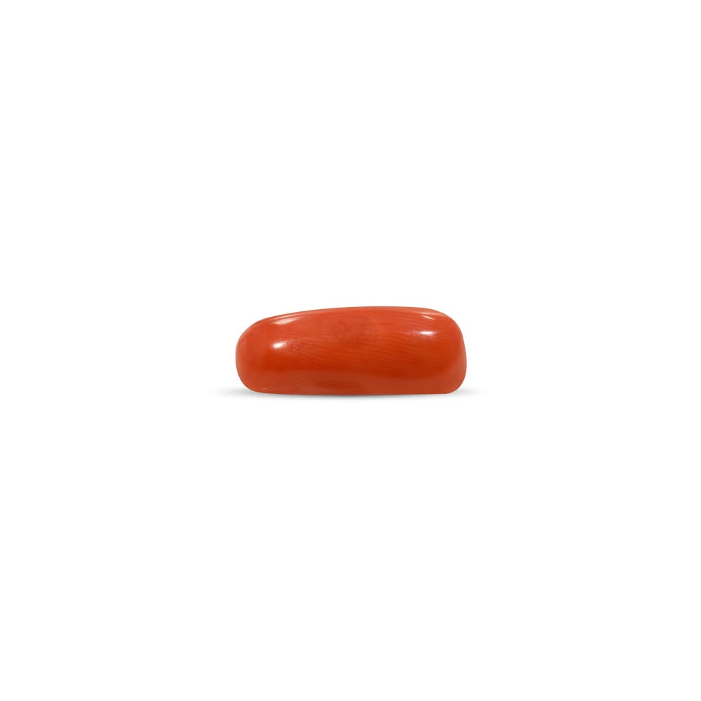 Red Coral - 10.76 Carat