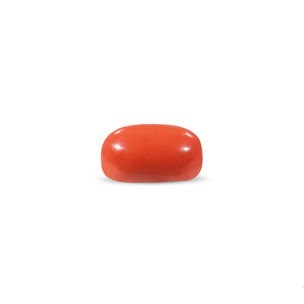 Red Coral - 10.86 Carat
