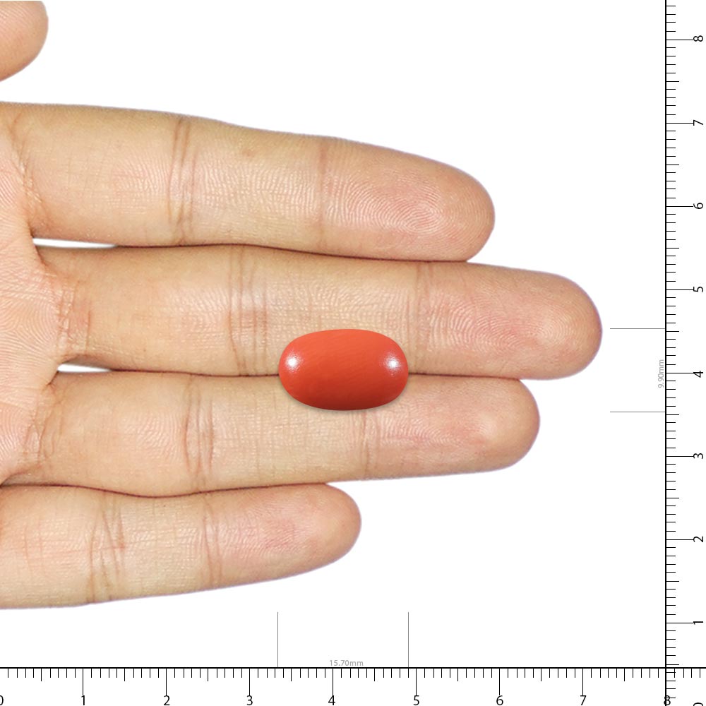 Red Coral - 10.86 Carat