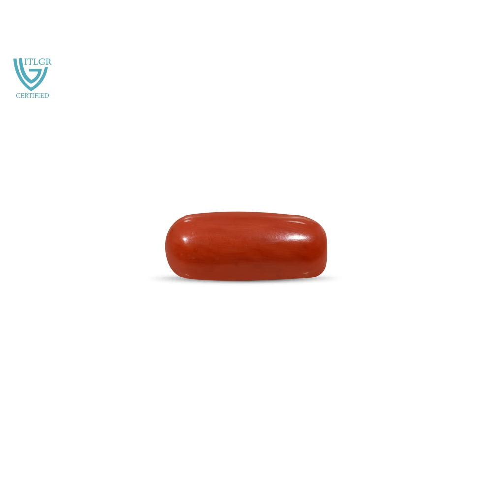 Red Coral - 10.90 Carat