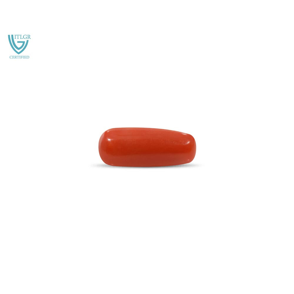 Red Coral - 10.91 Carat