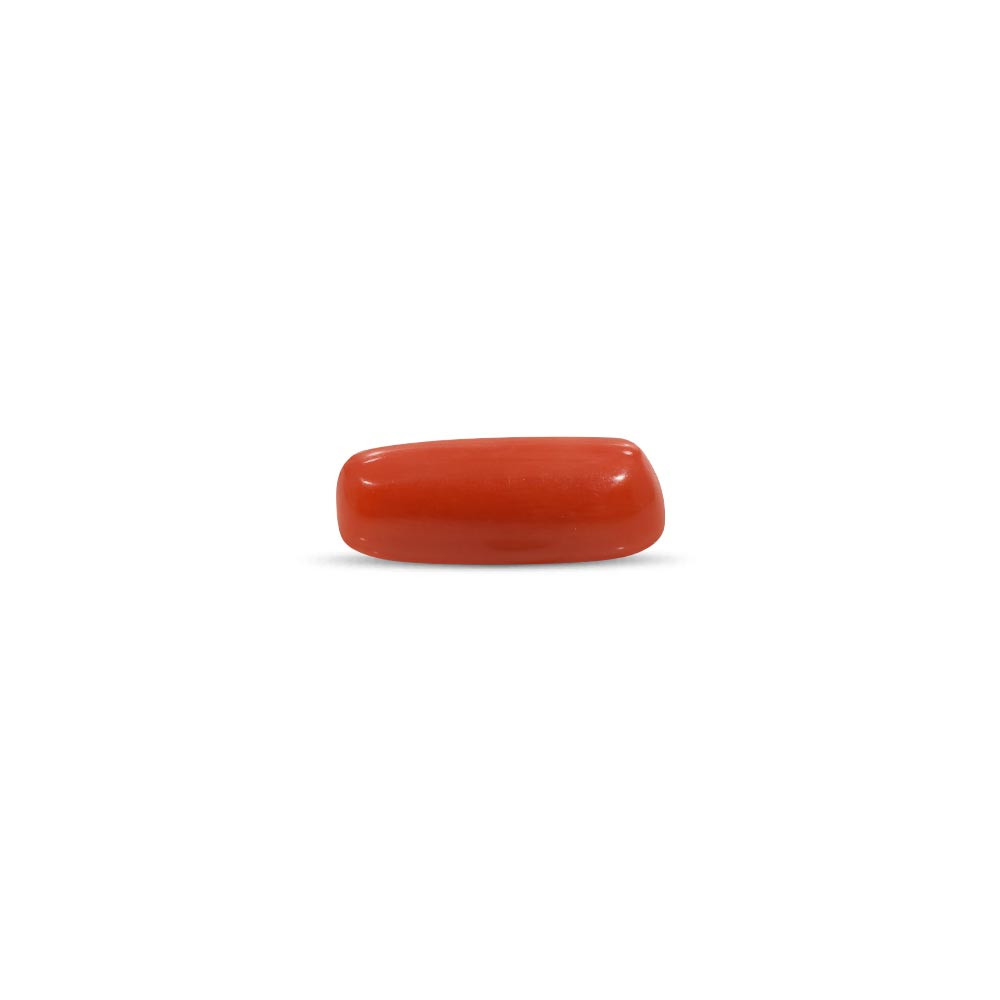 Red Coral - 10.91 Carat