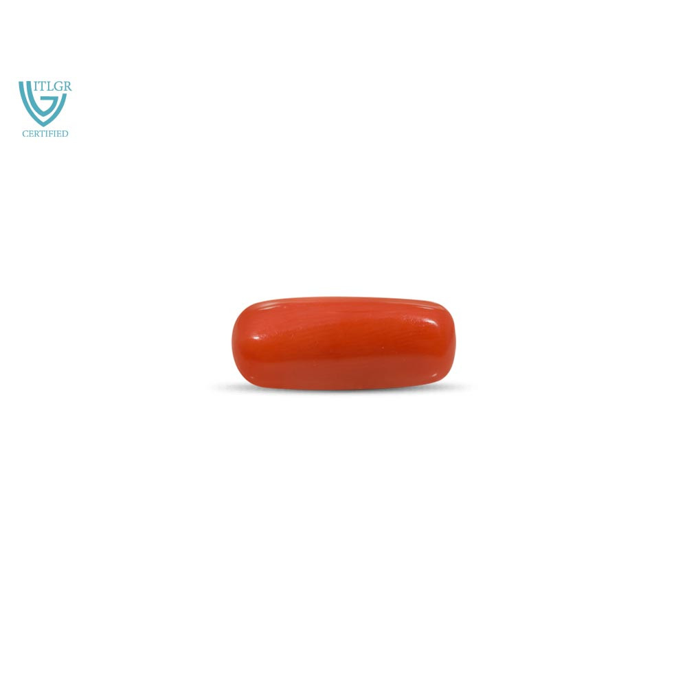 Red Coral - 11.1 Carat