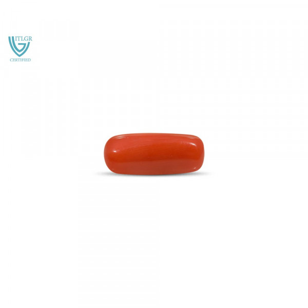 Red Coral - 11.1 Carat