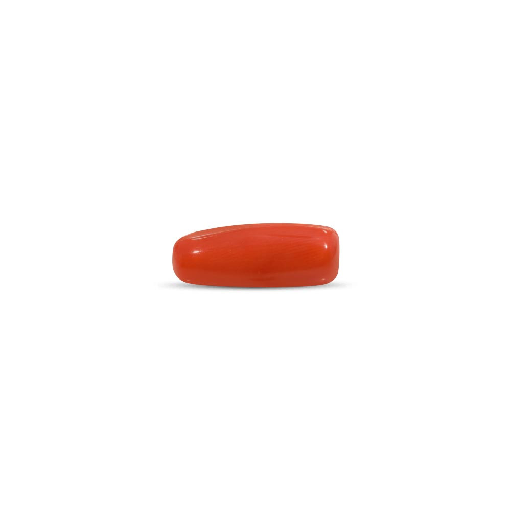 Red Coral - 11.1 Carat