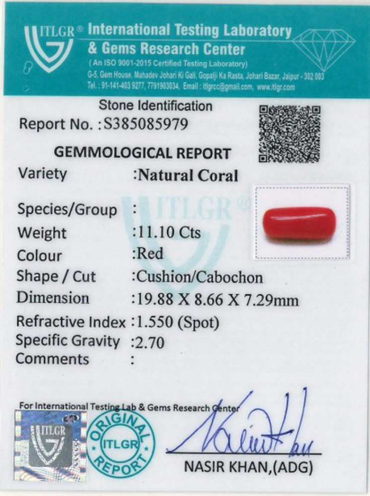 Red Coral - 11.1 Carat