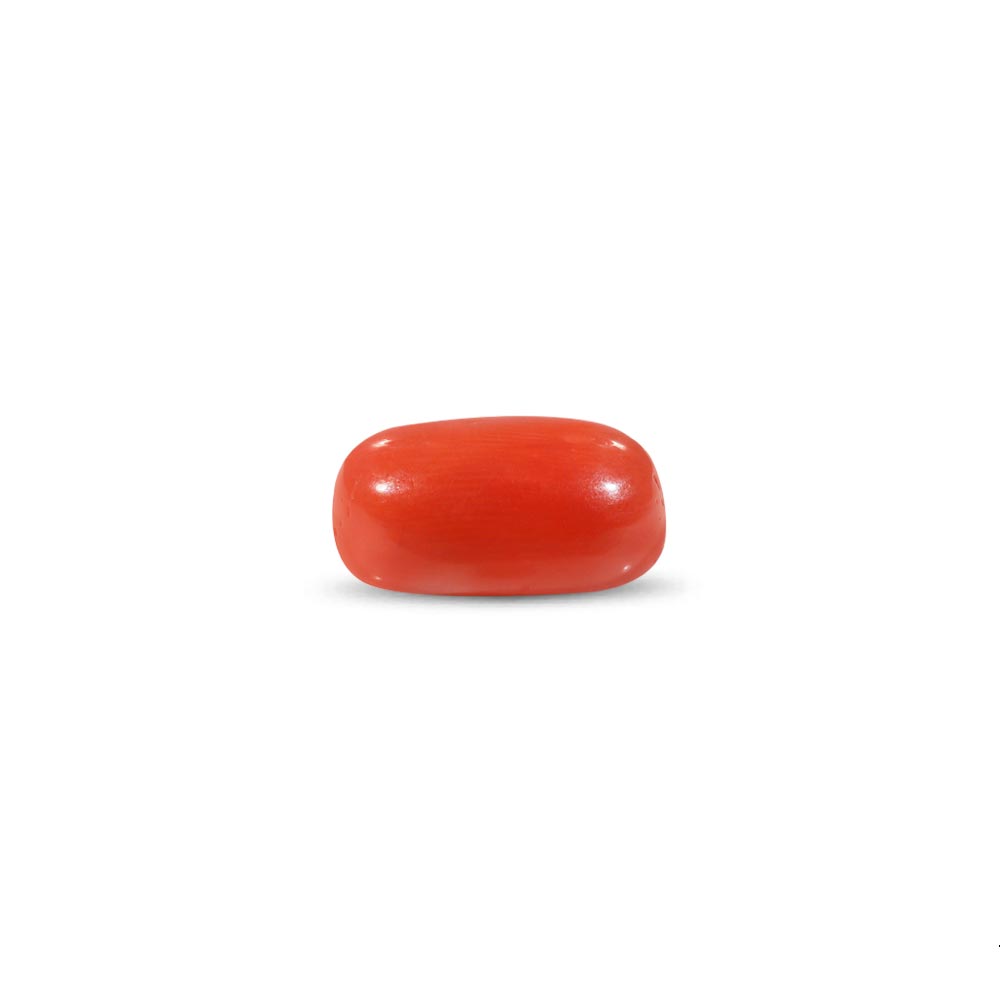 Red Coral - 11.1 Carat