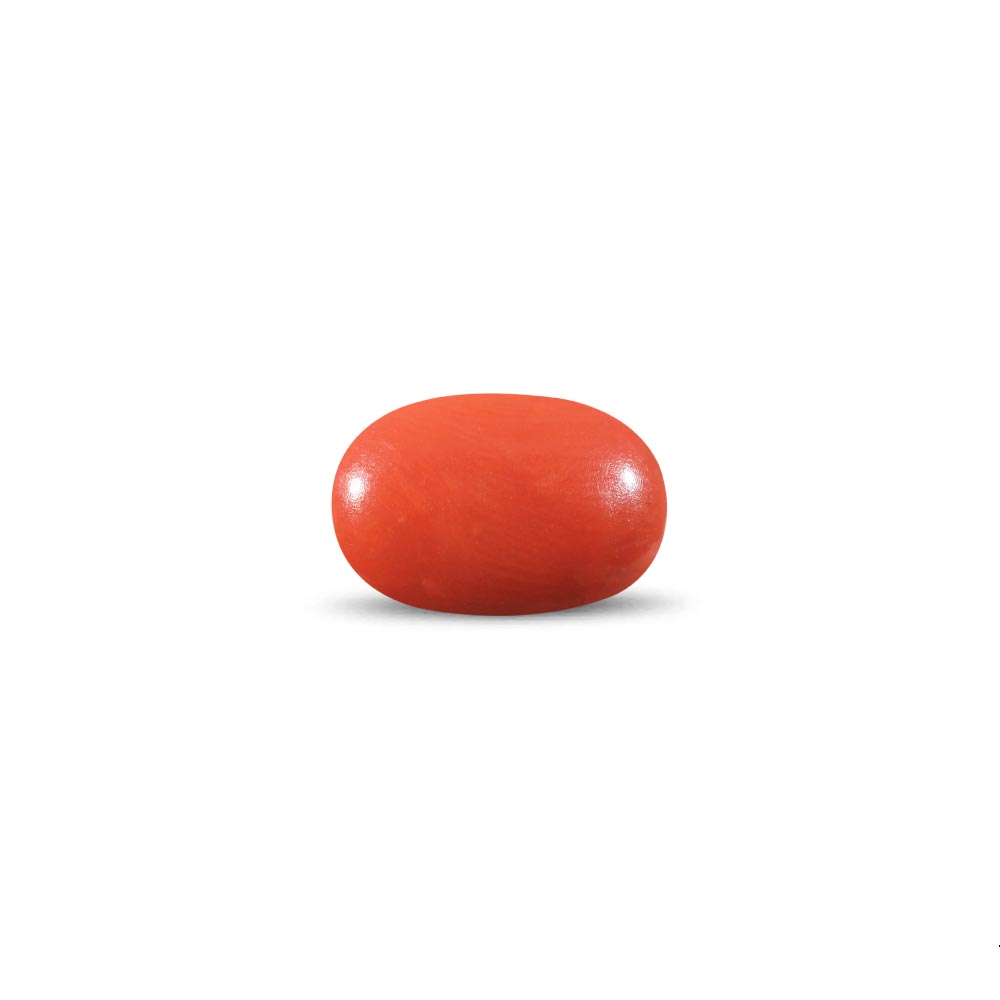 Red Coral - 11.1 Carat