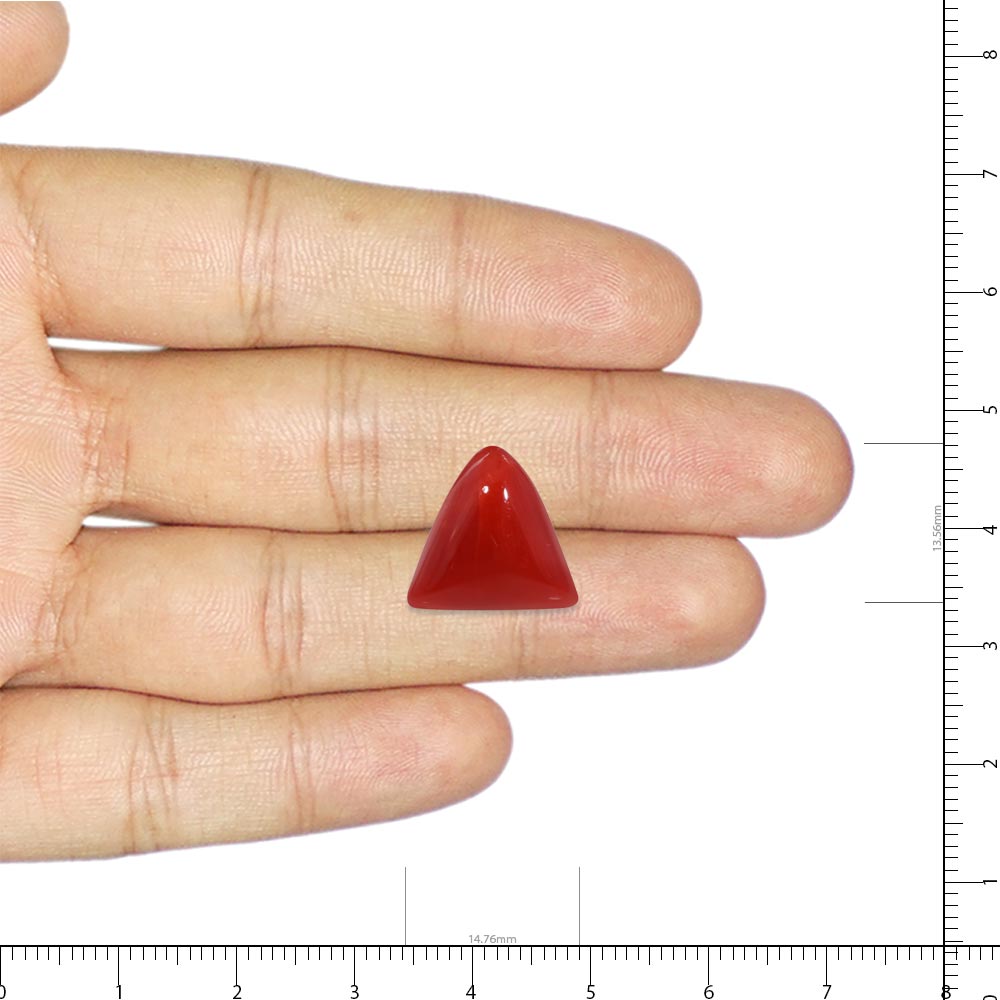 Red Coral - 11.25 Carat