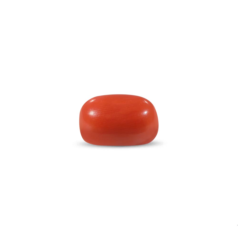 Red Coral - 11.28 Carat