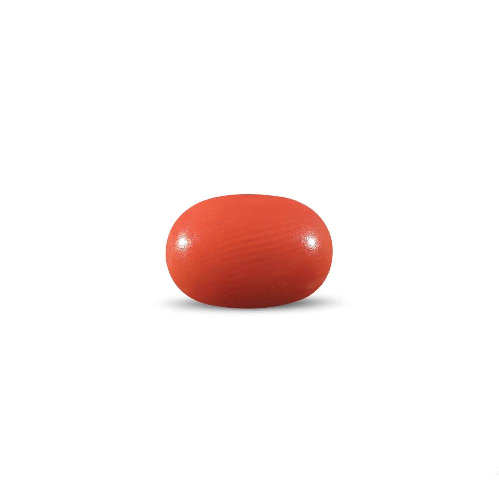 Red Coral - 11.28 Carat