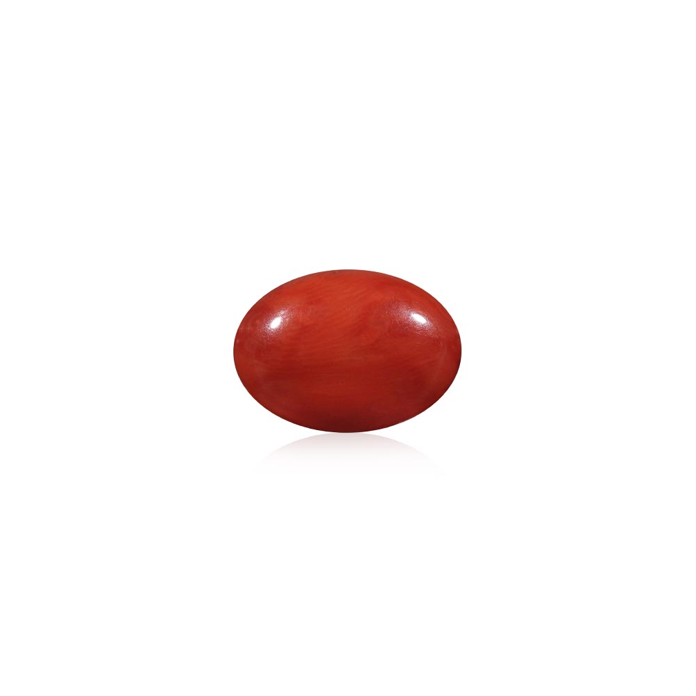 Red Coral - 11.29 Carat