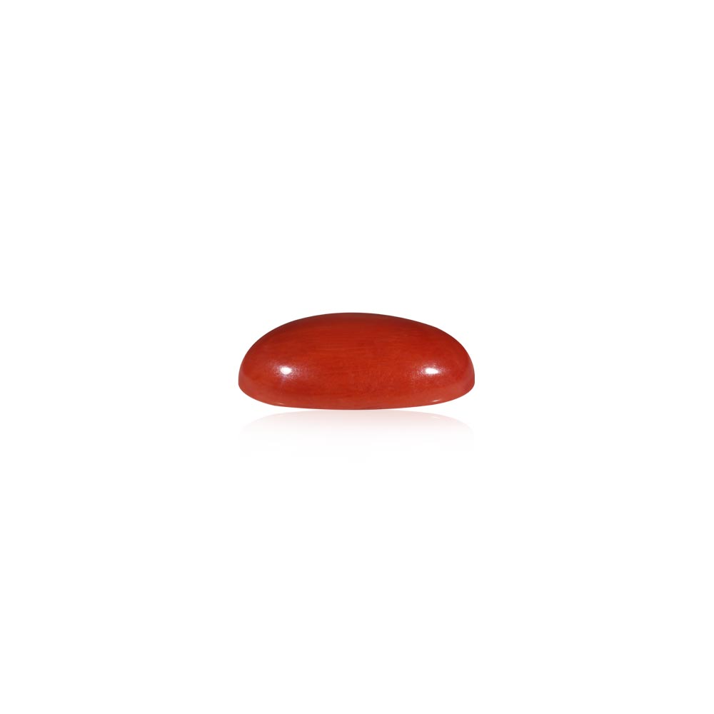 Red Coral - 11.29 Carat