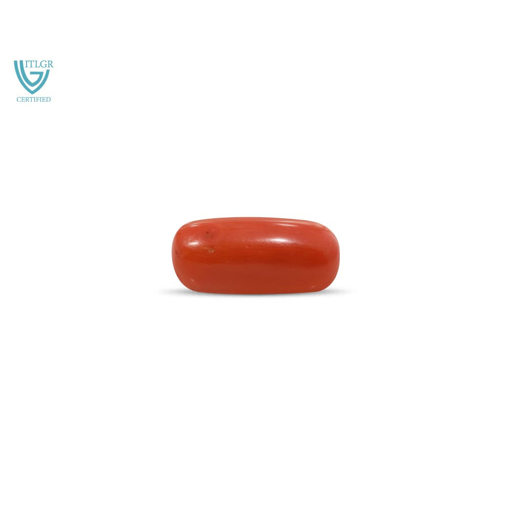 Red Coral - 11.52 Carat