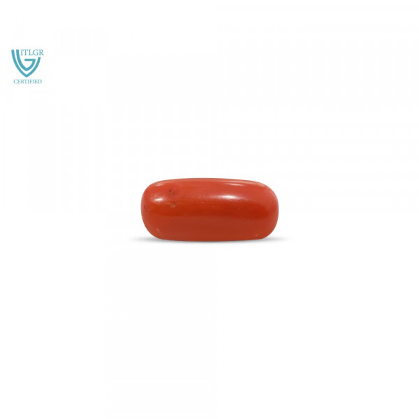 Red Coral - 11.52 Carat