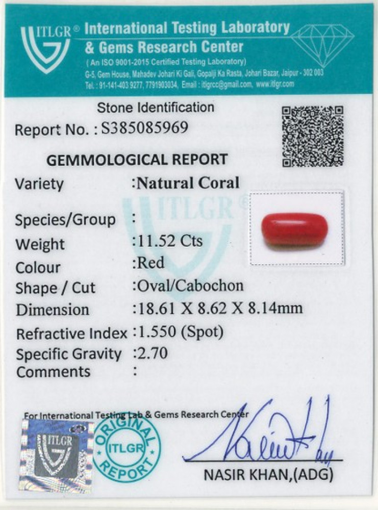Red Coral - 11.52 Carat