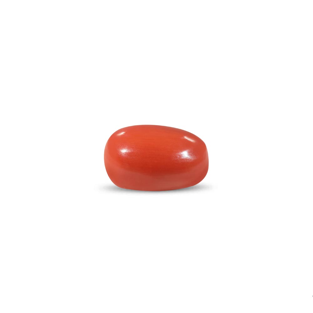 Red Coral - 11.64 Carat