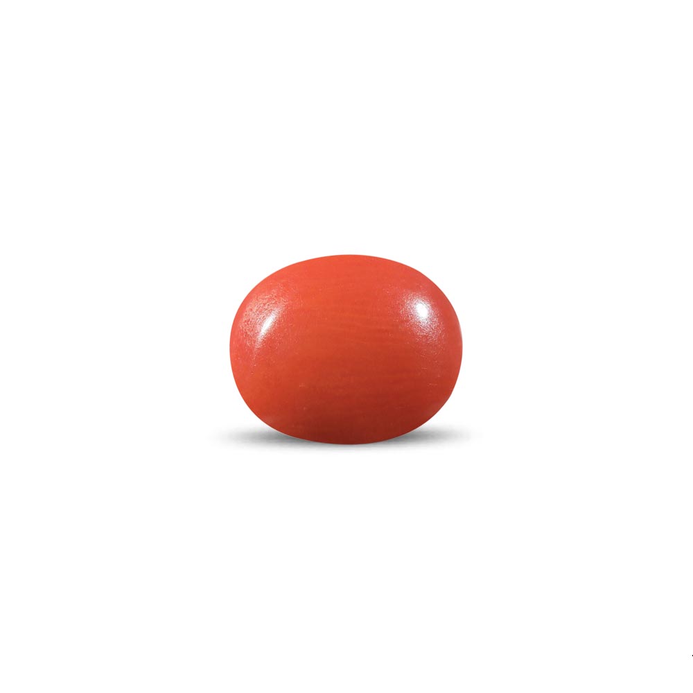 Red Coral - 11.64 Carat