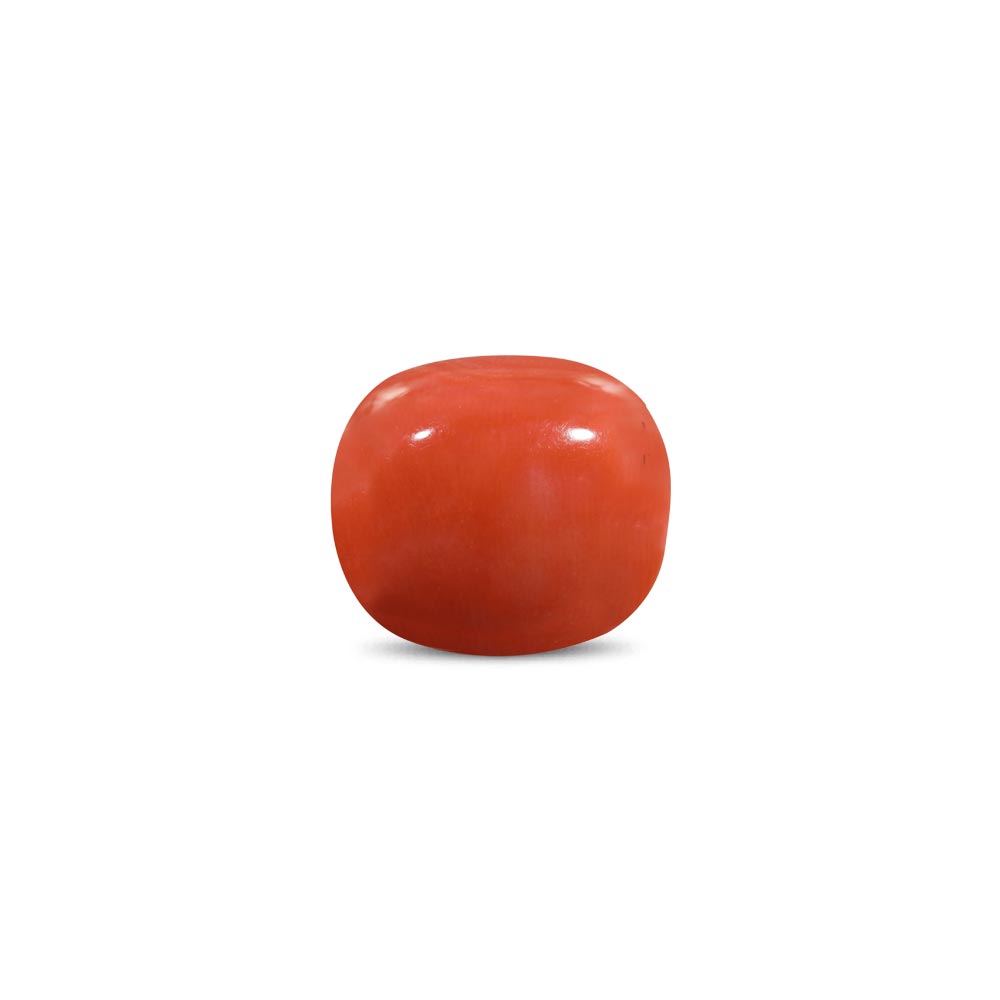 Red Coral - 11.67 Carat