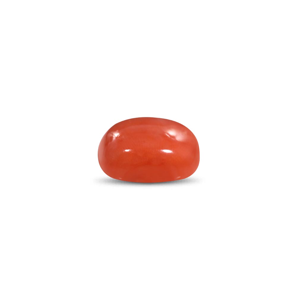 Red Coral - 11.67 Carat