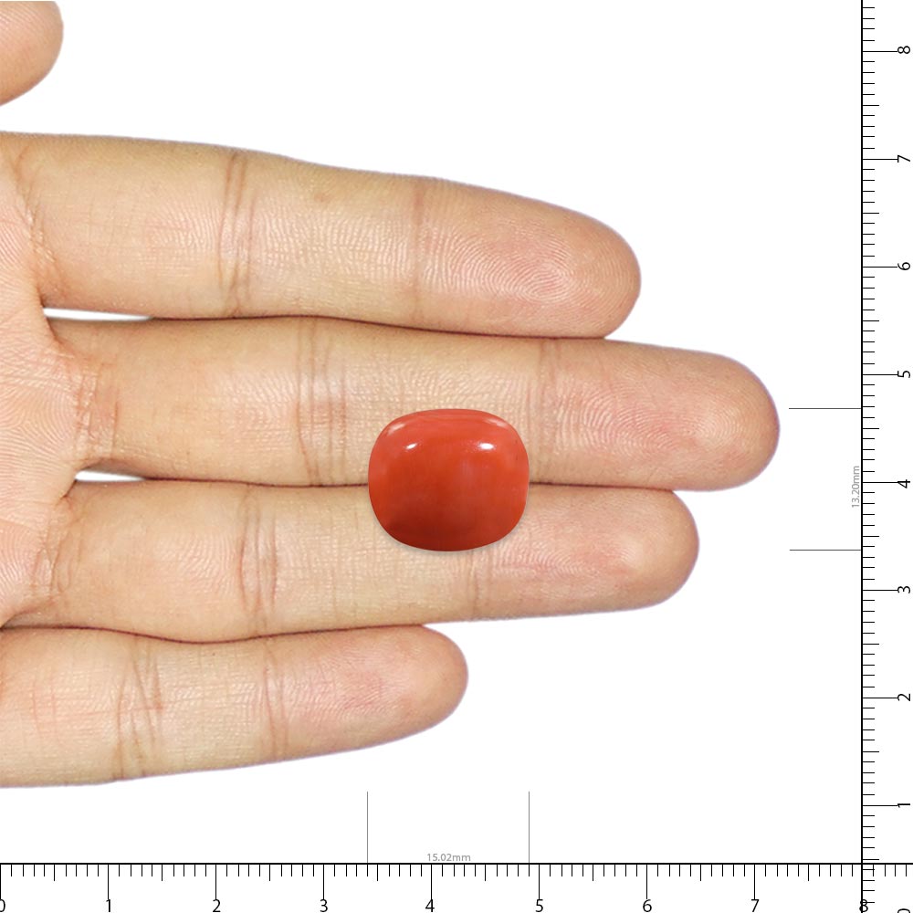 Red Coral - 11.67 Carat