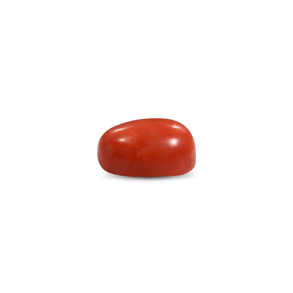 Red Coral - 11.82 Carat