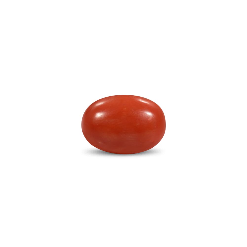 Red Coral - 11.82 Carat