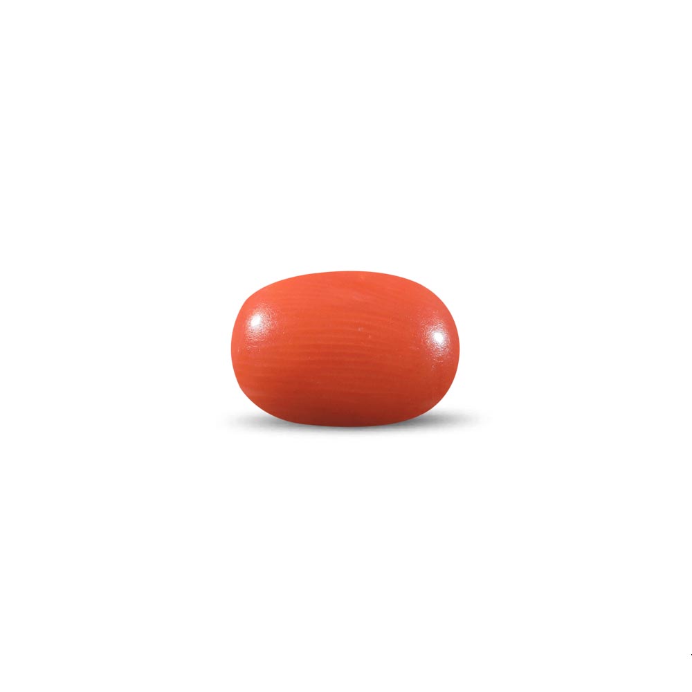 Red Coral - 11.92 Carat