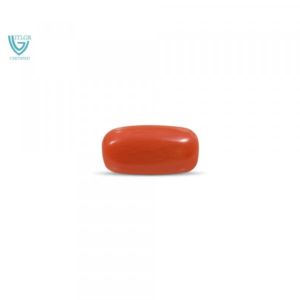 Red Coral - 12.17 Carat