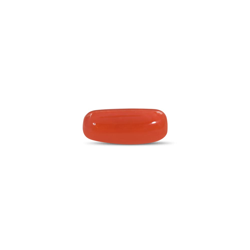Red Coral - 12.23 Carat