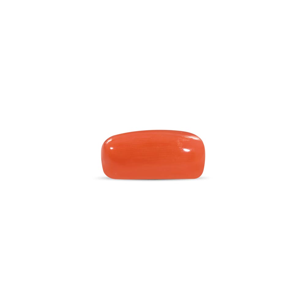 Red Coral - 12.32 Carat