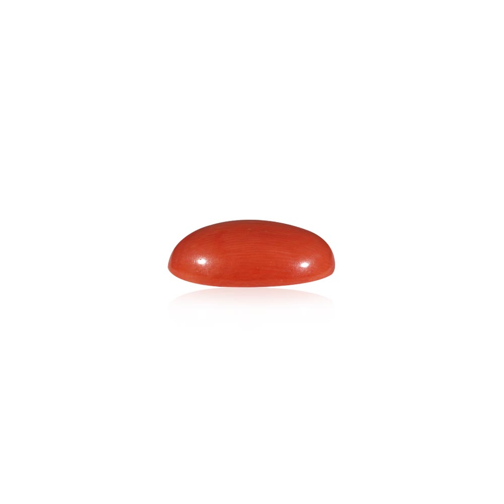 Red Coral - 12.34 Carat