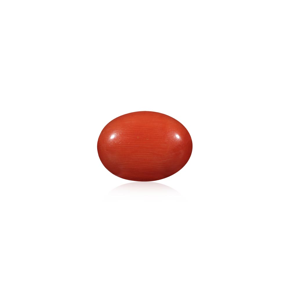 Red Coral - 12.34 Carat
