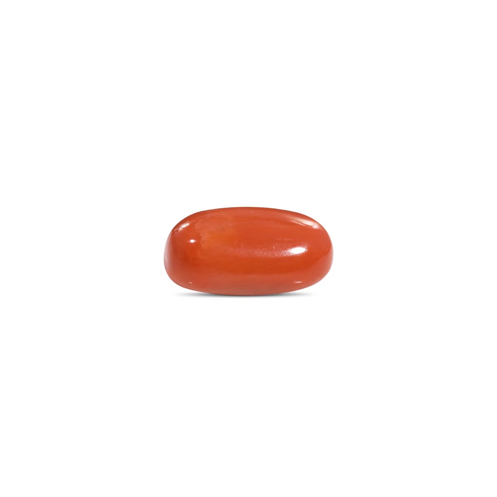 Red Coral - 12.39 Carat