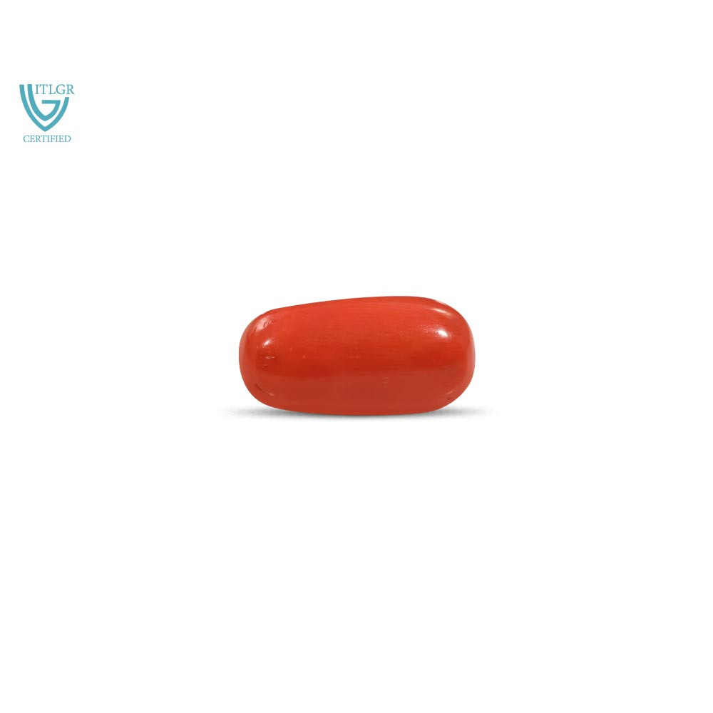 Red Coral - 12.45 Carat