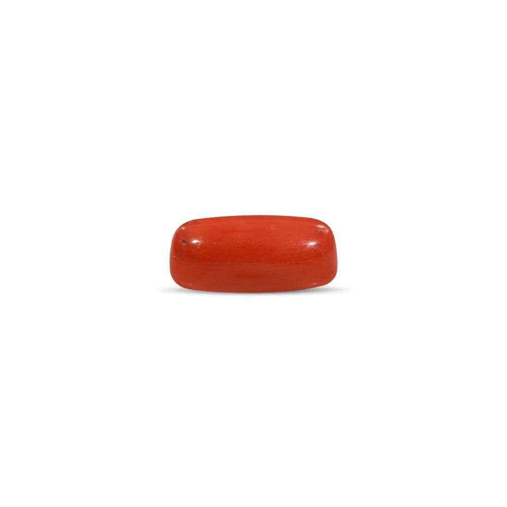 Red Coral - 12.45 Carat