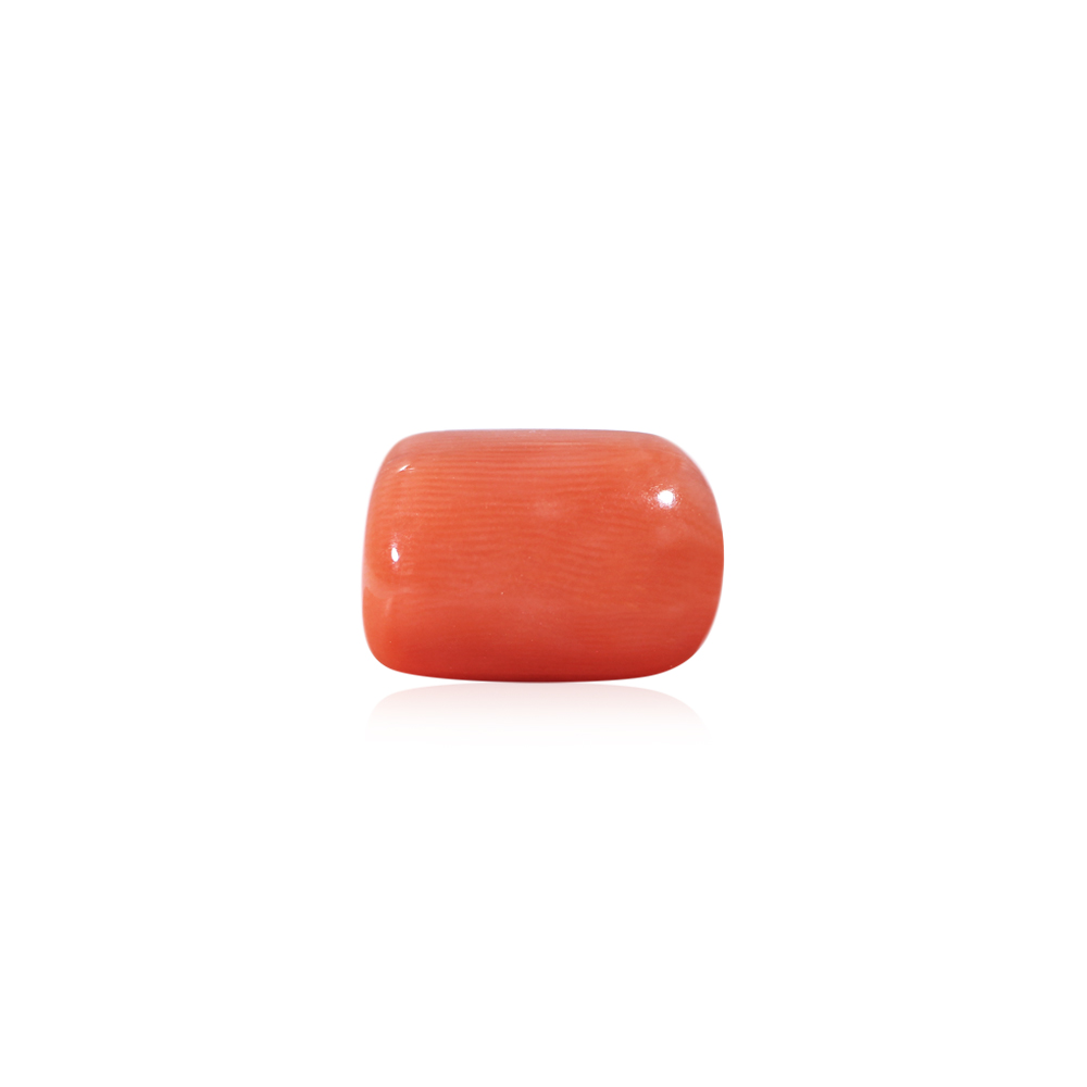 Red Coral - 12.52 Carat