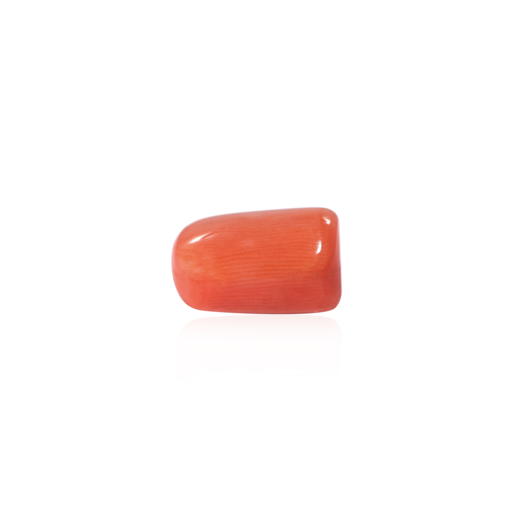 Red Coral - 12.52 Carat