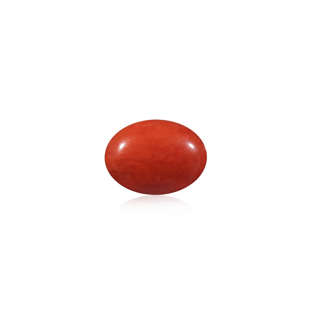 Red Coral - 12.53 Carat