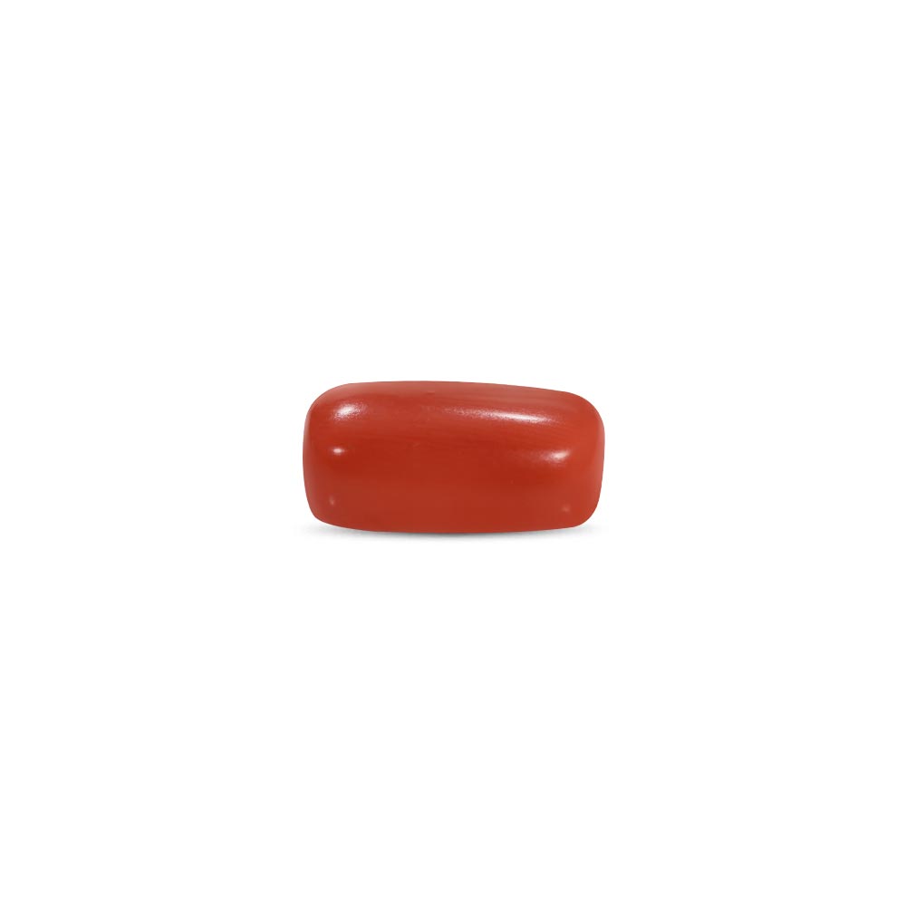 Red Coral - 12.56 Carat