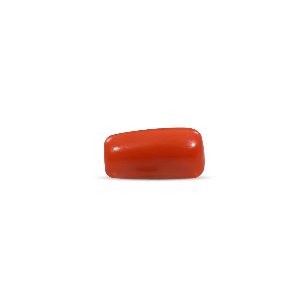 Red Coral - 12.82 Carat