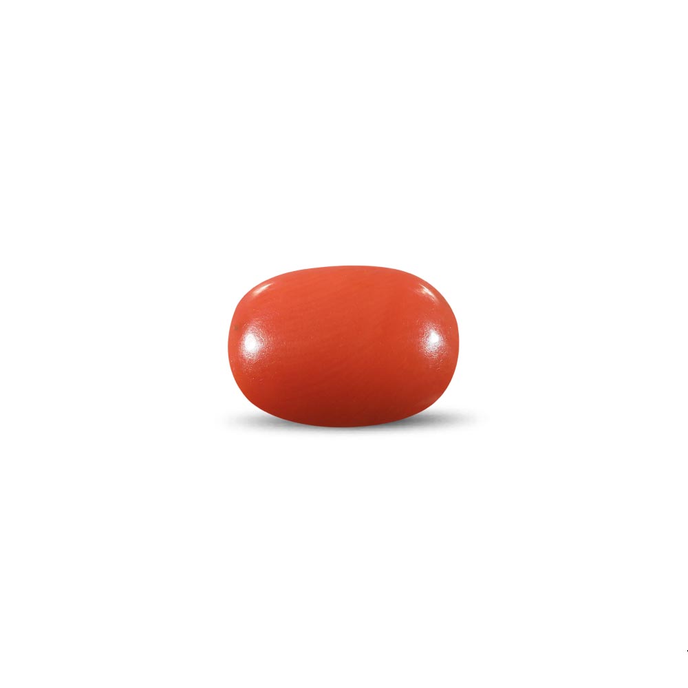 Red Coral - 12.97 Carat