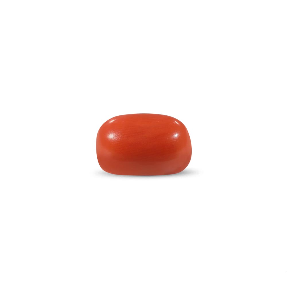 Red Coral - 12.97 Carat